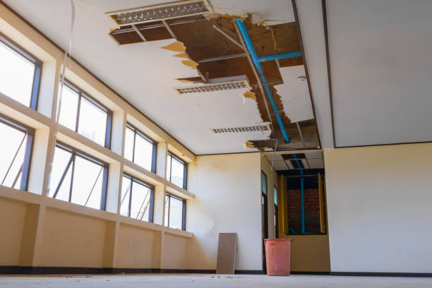 Best Local water damage restoration  in North Pearsall, TX