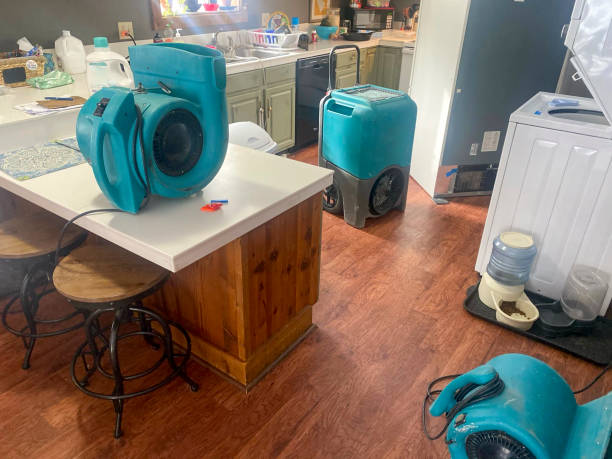 Best 24/7 water damage repair  in North Pearsall, TX