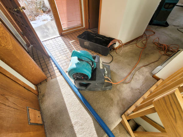 Best Professional water damage repair  in North Pearsall, TX