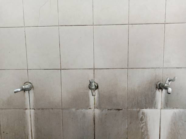 Best Carpet water damage restoration  in North Pearsall, TX
