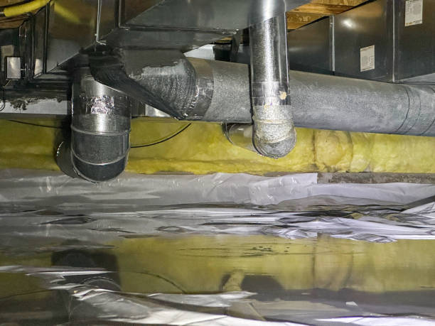  North Pearsall, TX Water damage restoration Pros