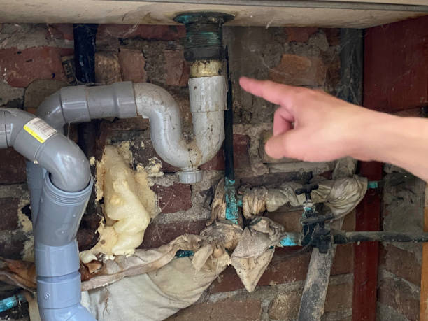 Best Water damage cleanup near me  in North Pearsall, TX