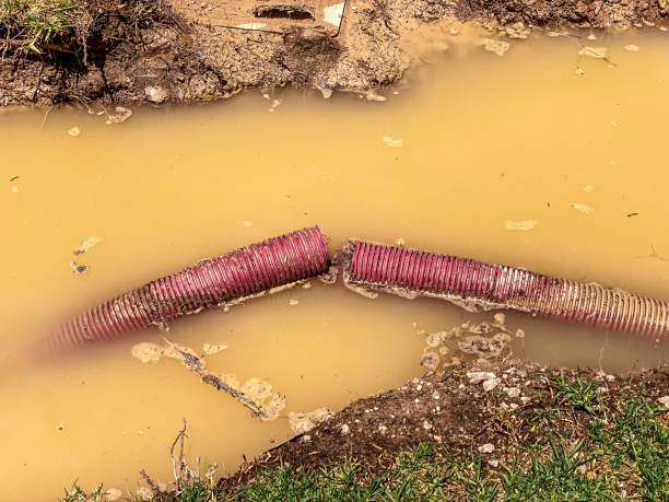 Best 24-hour water damage restoration  in North Pearsall, TX